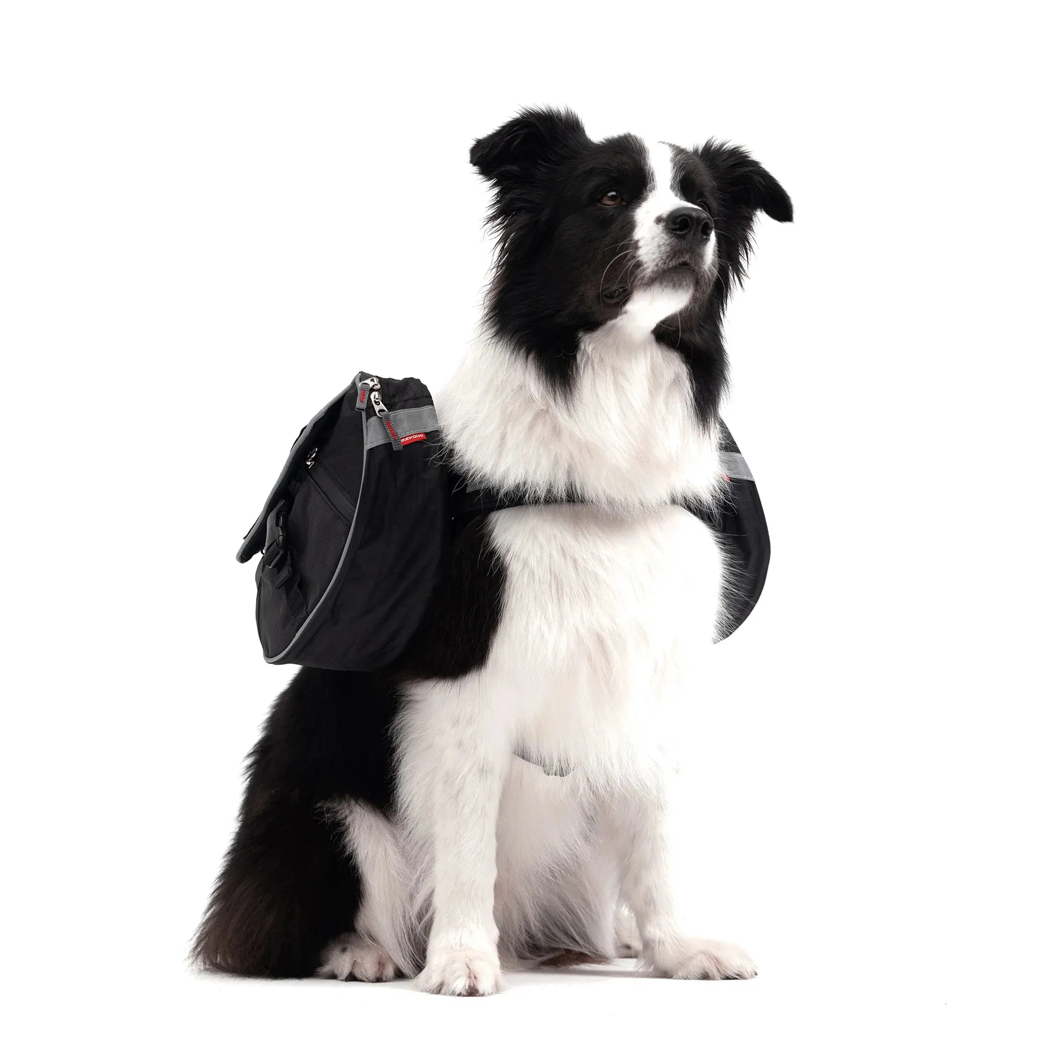 EzyDog Convert Dog Saddle Bags
