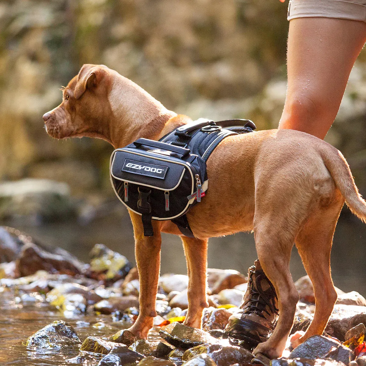 EzyDog Convert Dog Saddle Bags