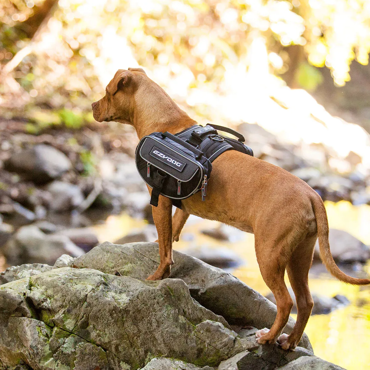 EzyDog Convert Dog Saddle Bags